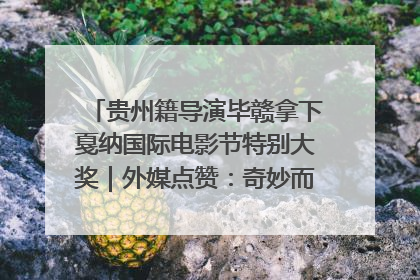 贵州籍导演毕赣拿下戛纳国际电影节特别大奖｜外媒点赞：奇妙而广阔的纯粹电影梦